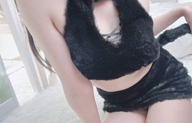 ニャンコに会いにおいで