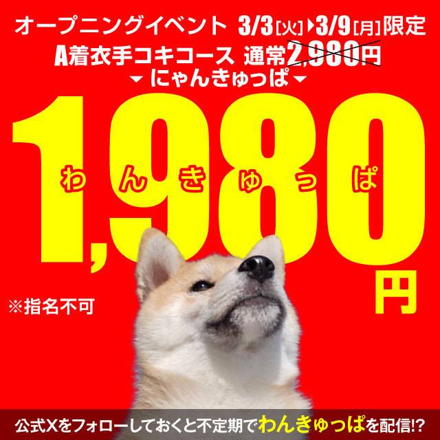 【明日から会えます♡ にゃんきゅっぱ🐱🎉】