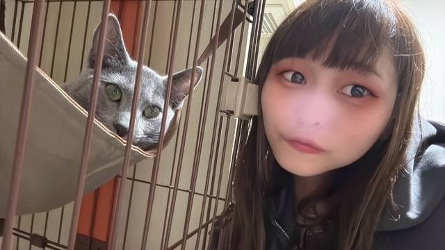 そっくり？🐈