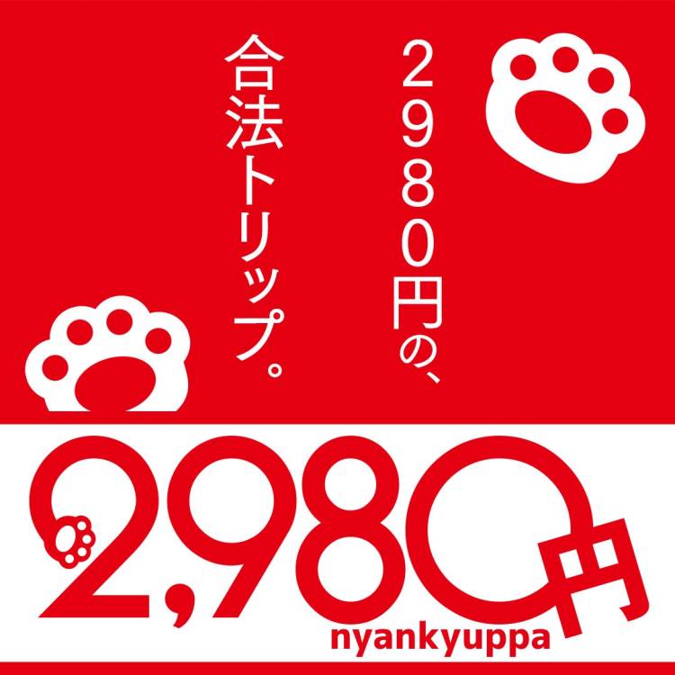 にゃんきゅっぱ（2980円）。