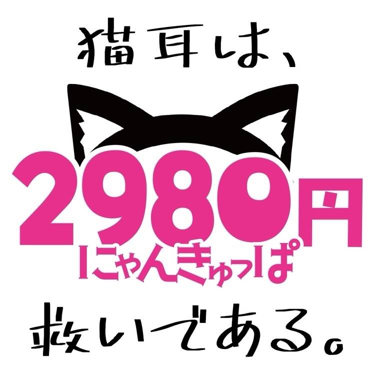 気軽に遊べる2980円♡ にゃんきゅっぱ🐱✨