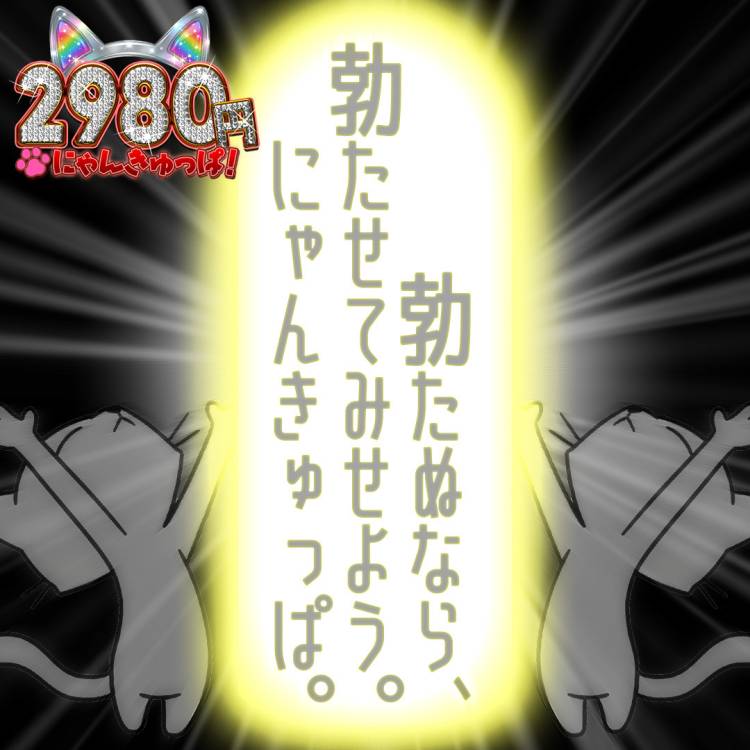まだ少し余白あるなら にゃんきゅっぱ🐱✨