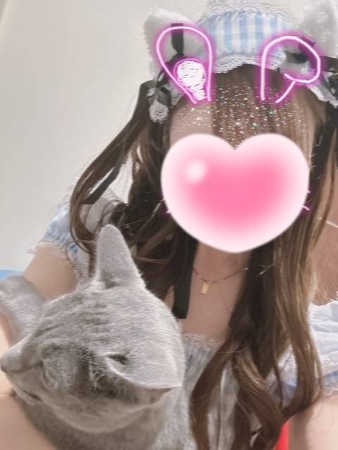 今日も出勤するよ🐈💕