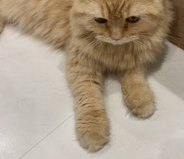 今日入店したなぎさです♡♡