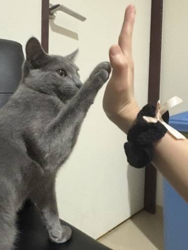 〆に