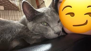 にゃお〜(^_ ̫ _^)❤︎