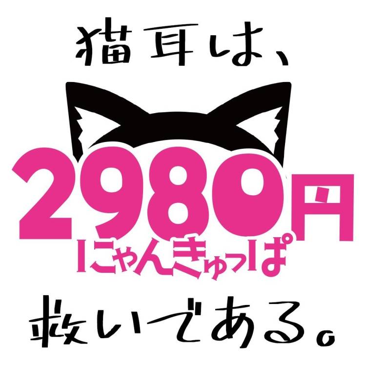 サクッとでも楽しいよ🐱✨