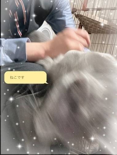 プルャ