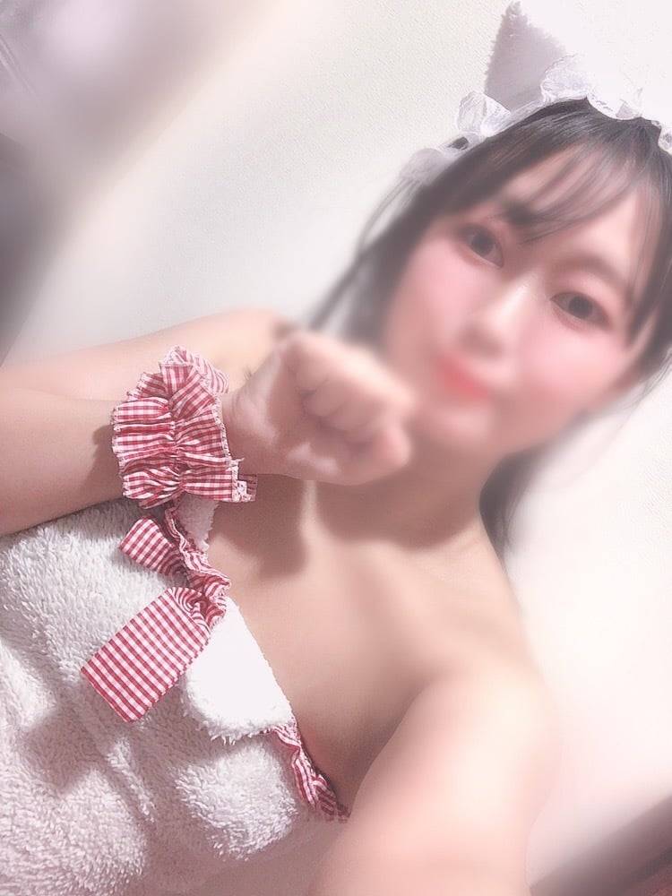 にゃんいるよー🛎️