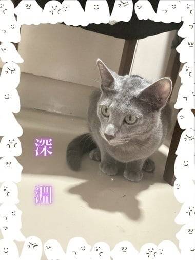 有効活用