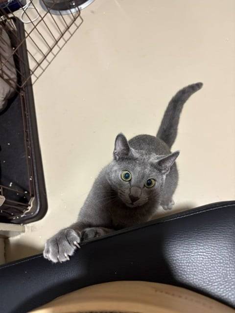 あそぼ♡