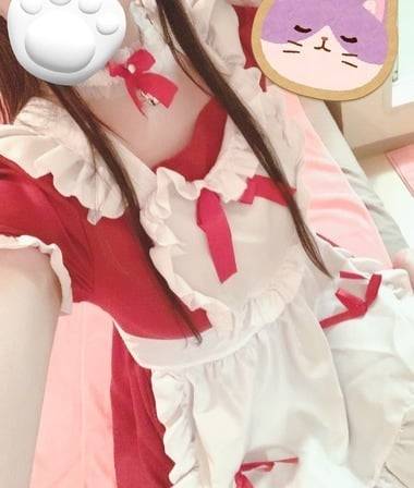 今日もありがとうございました🐱💕