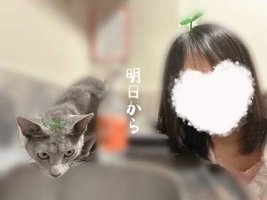 勘
