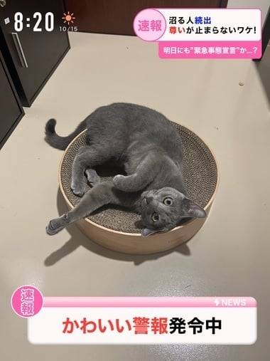 安寧