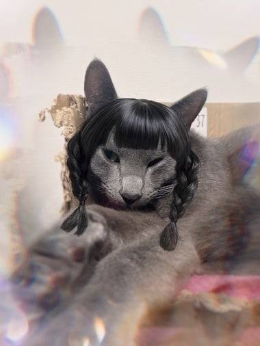 さげ