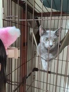 新人こむぎです！