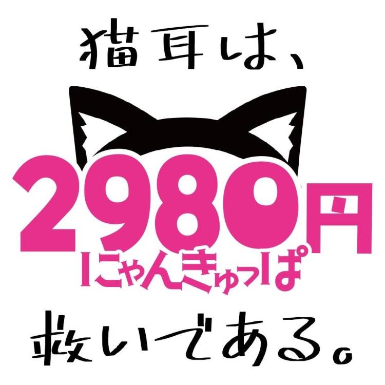 サクッとでも楽しいよ🐱✨