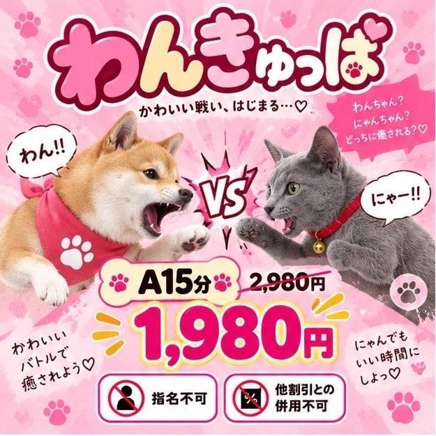 こむぎです！今日も出勤してます！