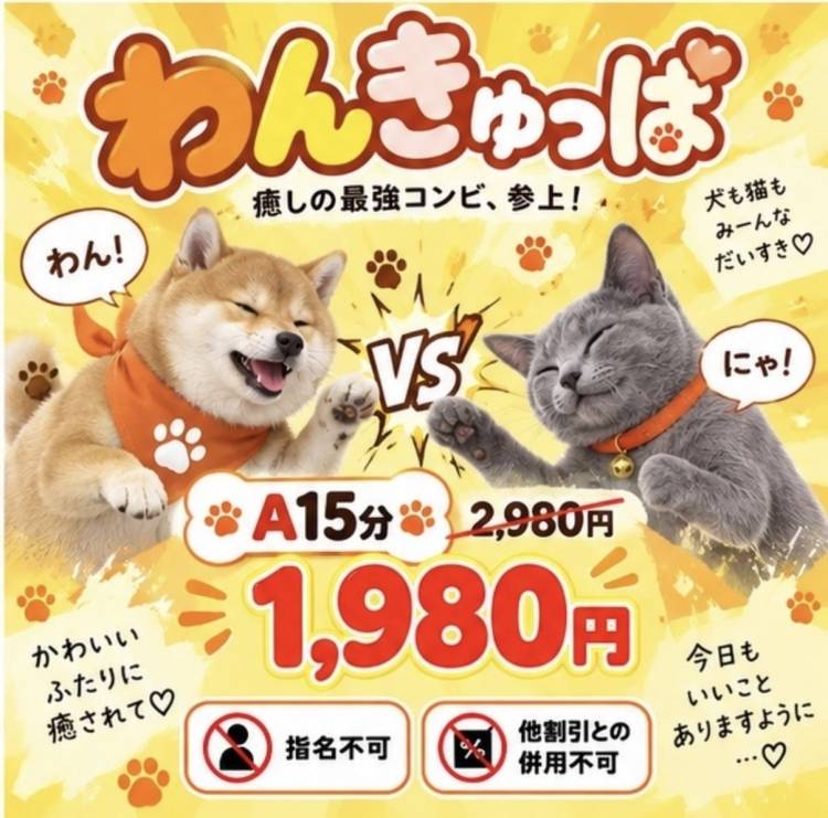 ꒰ わんきゅっぱ🐾♡ ꒱
