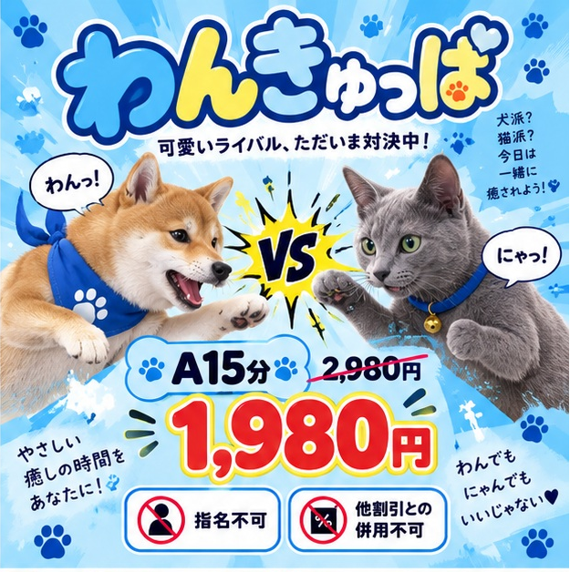 キャンペーン中です🐶
