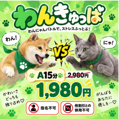 こんばんは〜♡