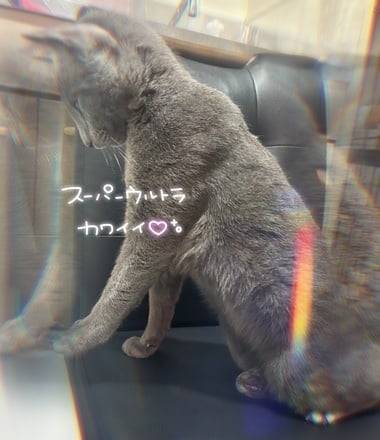 ぬ