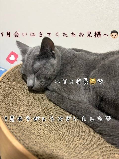 ♡9月お礼♡