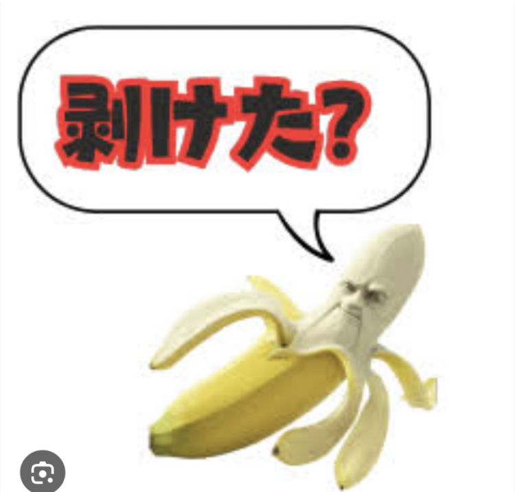 おはようございます!