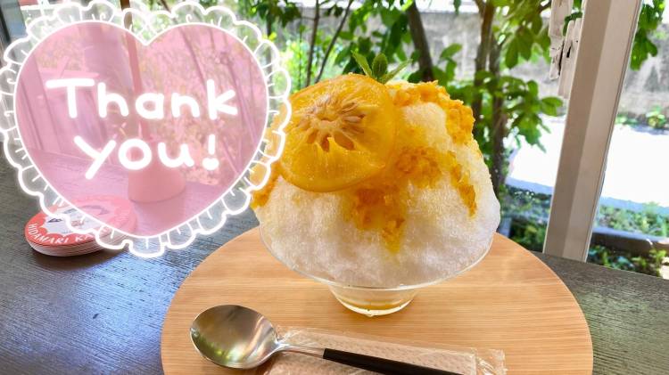 お礼です💕21日コスモスのお客様