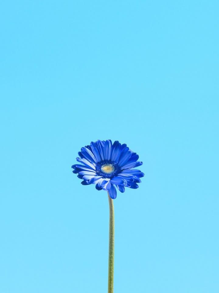 こんばんは😊