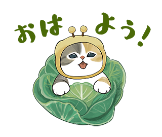 おはようございます😊