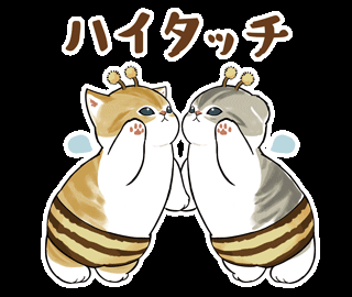 こんばんは😊