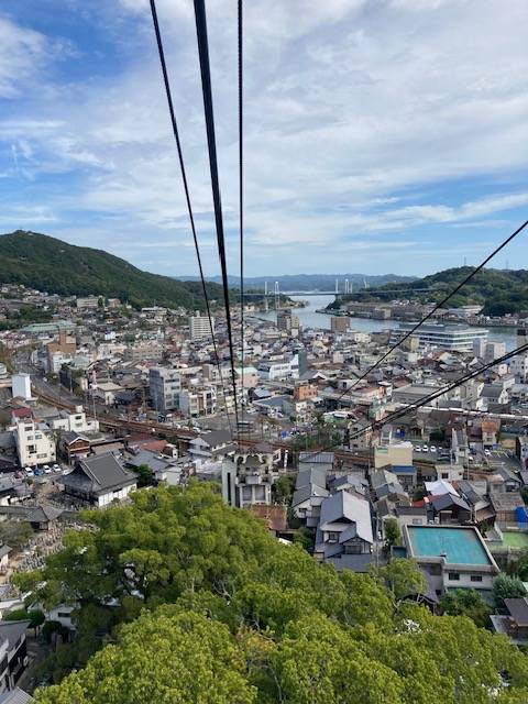 いつもありがとうございます😊✨