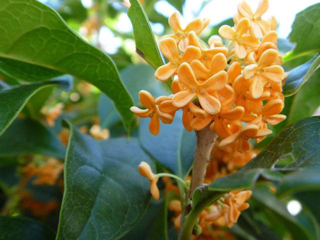 元気に出勤しました🤗✨✨