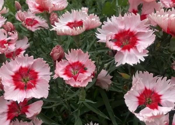 おっはよう😊🌈🌈💕