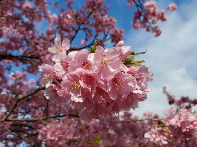 出勤しました💕