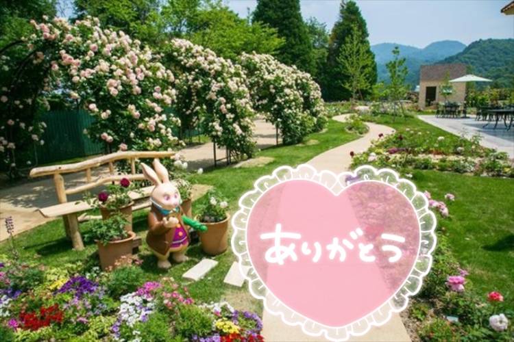 お礼です💕