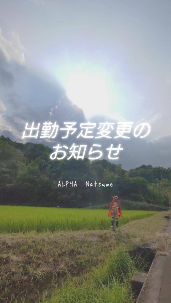 ( ﾟдﾟ)