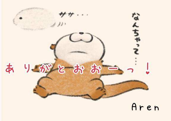 🐹ご予約完売🐹