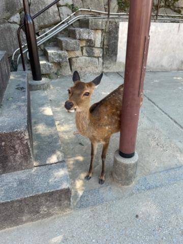 こんな簡単に...