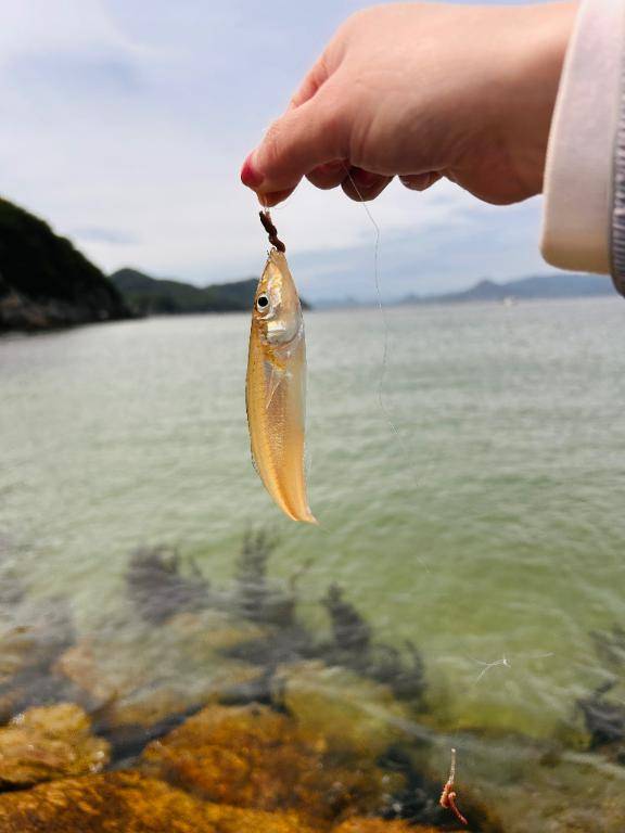 釣り～