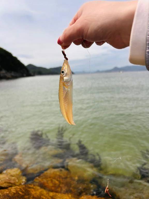 釣り〜