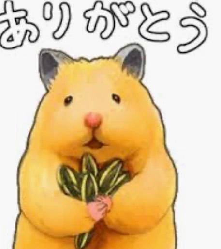 🐹えっ、、え!?🐹