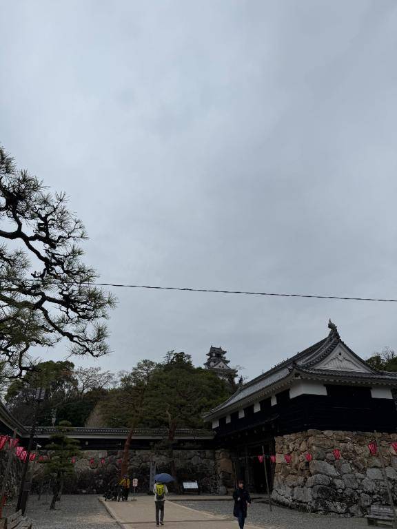 ナナミ（エンジェル・ラブ）