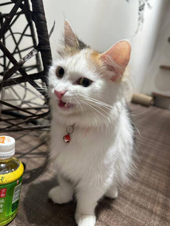 感謝??次回出勤??