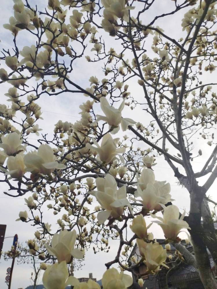 本日19時から出勤します！