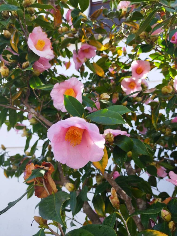 本日20時から出勤します。