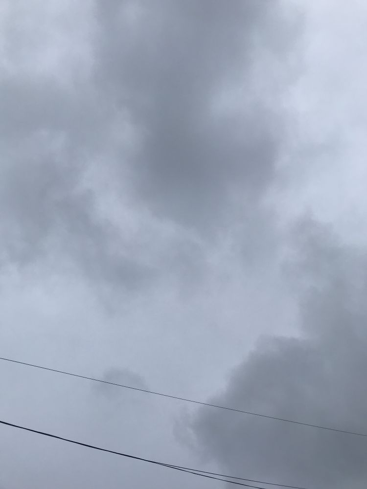今日20時から