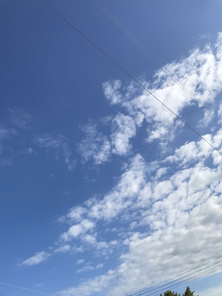 今日19時から♥︎