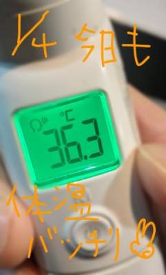 今日もよろしくです?